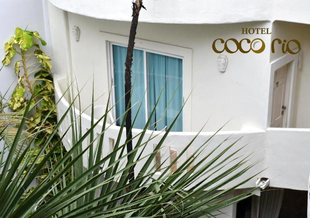 פלאייה דל כרמן Hotel Casa Coco Rio מראה חיצוני תמונה